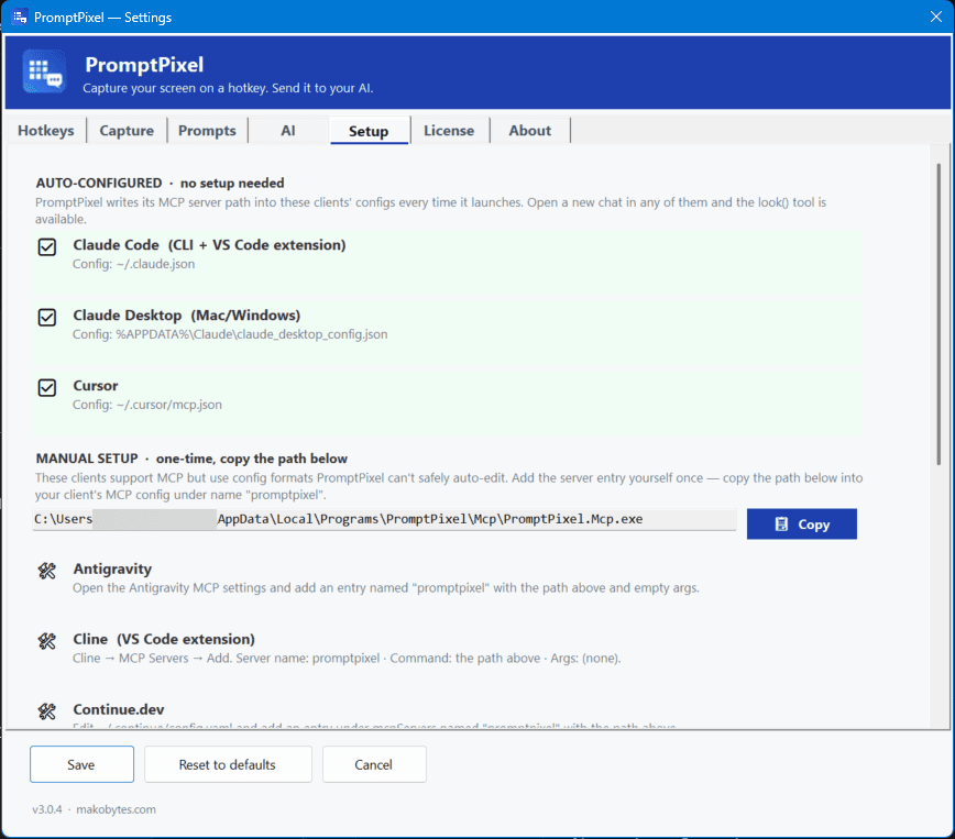 Settings — Setup tab showing auto-configured AI clients and manual setup instructions